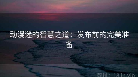 动漫迷的智慧之道：发布前的完美准备