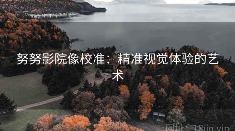 努努影院像校准：精准视觉体验的艺术